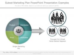 Present subset marketing plan powerpoint presentation examples