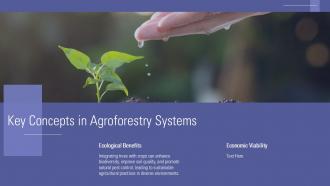 Presentation On Agroforestry PPT Presentation ACP Appealing Impactful