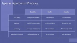 Presentation On Agroforestry PPT Presentation ACP Informative Impactful