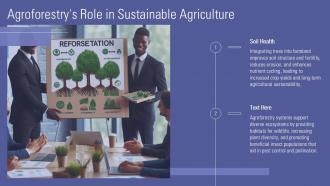 Presentation On Agroforestry PPT Presentation ACP Analytical Impactful