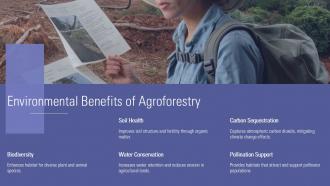 Presentation On Agroforestry PPT Presentation ACP Professionally Impactful