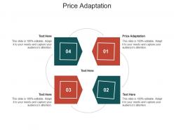 Price adaptation ppt powerpoint presentation layouts outfit cpb