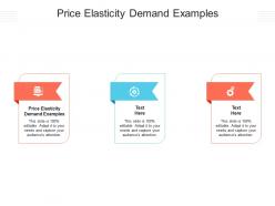 Price elasticity demand examples ppt powerpoint presentation visual aids layouts cpb