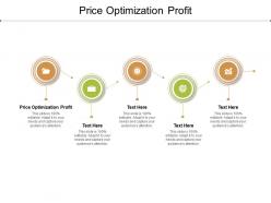 Price optimization profit ppt powerpoint presentation professional summary cpb