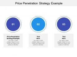Price penetration strategy example ppt powerpoint presentation infographics graphics example cpb
