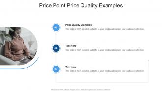 Price Point Price Quality Examples In Powerpoint And Google Slides Cpb