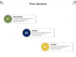 Price sensitive ppt powerpoint presentation infographics skills cpb