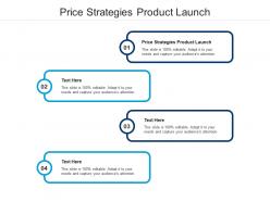 Price strategies product launch ppt powerpoint presentation file example cpb