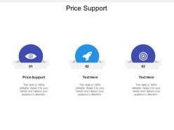 Price support ppt powerpoint presentation icon portfolio cpb