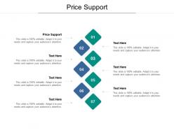 Price support ppt powerpoint presentation portfolio samples cpb