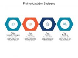 Pricing adaptation strategies ppt powerpoint presentation summary background cpb