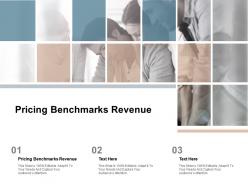 Pricing benchmarks revenue ppt powerpoint presentation professional grid cpb