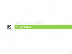 Pricing budget financial j88 ppt powerpoint presentation icon shapes