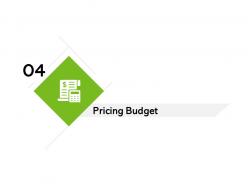 Pricing Budget Ppt Powerpoint Presentation File Tips