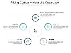 Pricing company hierarchy organization ppt powerpoint presentation professional rules cpb