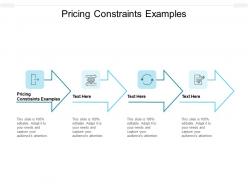 Pricing constraints examples ppt powerpoint presentation pictures example topics cpb