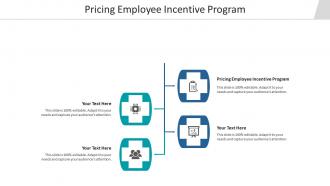 Pricing employee incentive program ppt powerpoint presentation ideas objects cpb