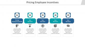 Pricing employee incentives ppt powerpoint presentation portfolio graphics design cpb
