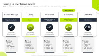 Pricing in user based model tiered pricing model for managed service