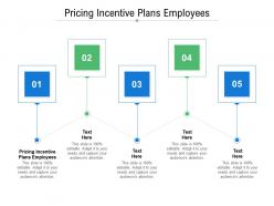 Pricing incentive plans employees ppt powerpoint presentation visual aids cpb