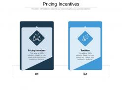 Pricing incentives ppt powerpoint presentation styles example topics cpb