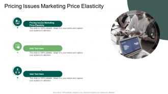 Pricing Issues Marketing Price Elasticity In Powerpoint And Google Slides Cpb