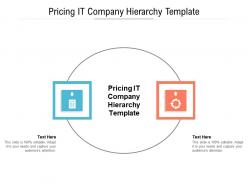 Pricing it company hierarchy template ppt powerpoint presentation pictures outline cpb
