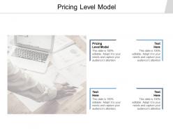 Pricing level model ppt powerpoint presentation professional slide cpb