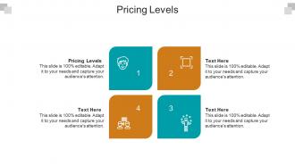 Pricing levels ppt powerpoint presentation icon layouts cpb