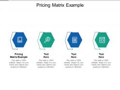 Pricing matrix example ppt powerpoint presentation icon designs download cpb