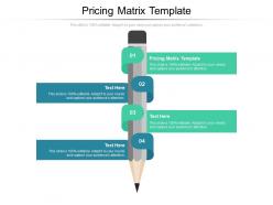 Pricing matrix template ppt powerpoint presentation infographic template design templates cpb