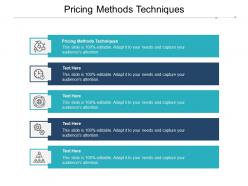 Pricing methods techniques ppt powerpoint presentation icon designs cpb