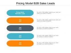 Pricing model b2b sales leads ppt powerpoint presentation pictures icon cpb