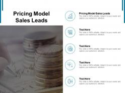 Pricing model sales leads ppt powerpoint presentation inspiration designs download cpb