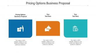 Pricing options business proposal ppt powerpoint presentation gallery guidelines cpb
