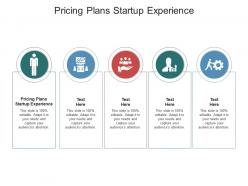 Pricing plans startup experience ppt powerpoint presentation summary portfolio cpb