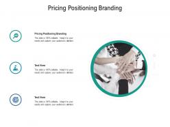 Pricing positioning branding ppt powerpoint presentation file inspiration cpb