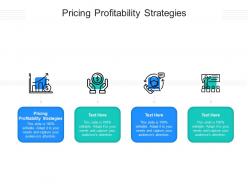 Pricing profitability strategies ppt powerpoint presentation infographic template tips cpb