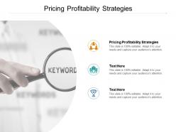 Pricing profitability strategies ppt powerpoint presentation styles layout cpb
