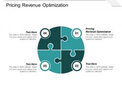 Pricing revenue optimization ppt powerpoint presentation professional styles cpb