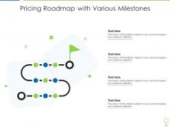 Pricing roadmap with various milestones