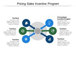 Pricing sales incentive program ppt powerpoint presentation layouts graphics cpb