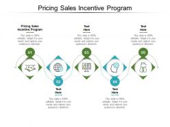 Pricing sales incentive program ppt powerpoint presentation slides background image cpb