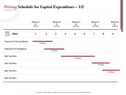 Pricing schedule for capital expenditure process planning ppt powerpoint presentation outline icon