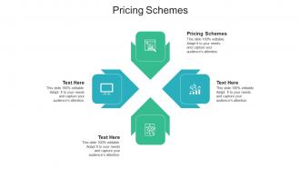 Pricing schemes ppt powerpoint presentation summary samples cpb