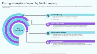 Pricing Strategies Adopted By Saas Company IT Industry Market Analysis Trends MKT SS V