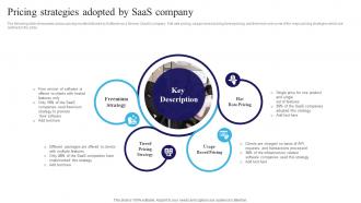 Pricing Strategies Adopted By SaaS Company Navigating The Information Technology Landscape MKT SS V