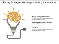 pricing_strategies_marketing_marketing_launch_plan_template_product_pricing_cpb_Slide01