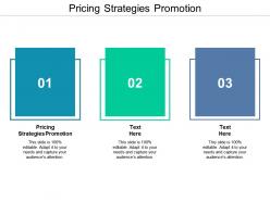 Pricing strategies promotion ppt powerpoint presentation file deck cpb