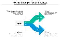 Pricing strategies small business ppt powerpoint presentation icon rules cpb